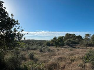 Rural plot  Carrer major. Finca rustica costitx