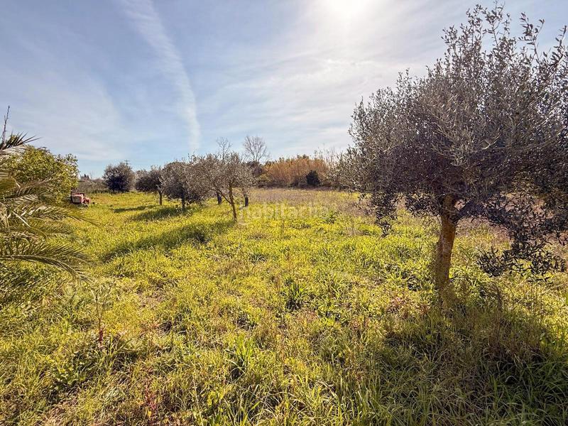 Foto aa26d1ca-d285-4a6d-9f44-9da43495ef1d. Propriété dans Selva