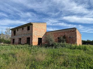 Fondo rustico  Diseminado poligono 17. Finca rustica en selva