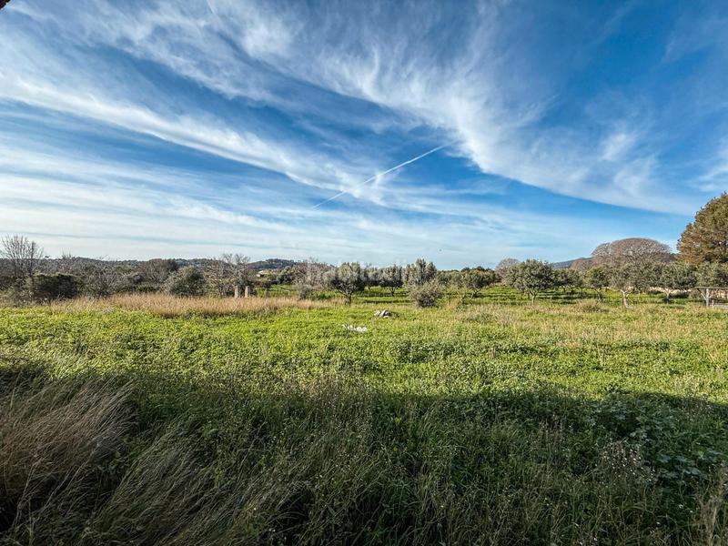Foto 834da571-8948-430d-ad68-b54105bc391d. Propriété dans Selva