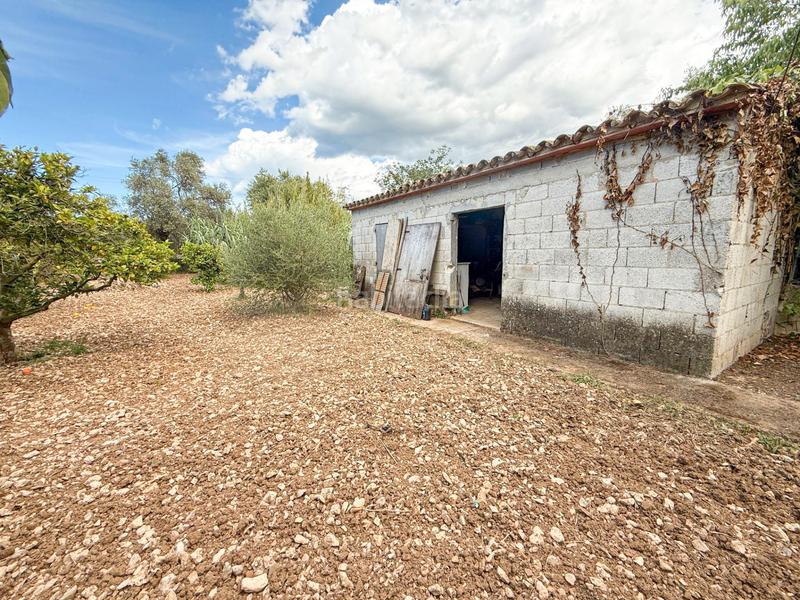 Foto 535cdf69-9651-4c17-961c-d858061fa85b. Masía preciosa finca rústica en port de Pollença Pollença