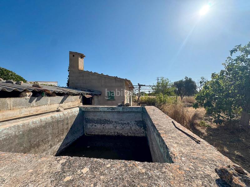 Foto 7b5a9075-73cb-49c4-9202-711bbabfa88d. Masia amb piscina a Lloseta