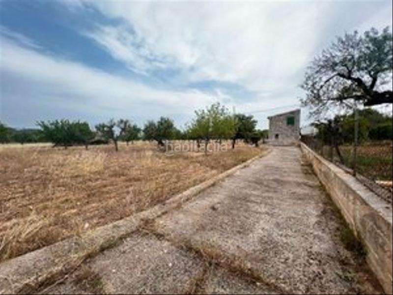 Foto d7157628-117b-4079-b2f5-e821c5693c7e. Casa in Selva