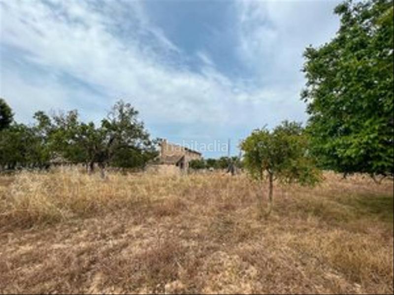 Foto eb2b3059-865c-4d13-a889-002fe5565d5c. Casa in Selva