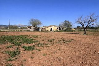 Mas à Centro. Finca rustica en inca