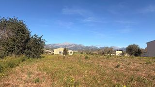 Bauernhof in Lloseta. Preciosa finca rustica con caseta en lloseta