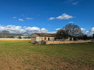 Gewerbliches Grundstück in Binissalem. Finca rustica en binissalem