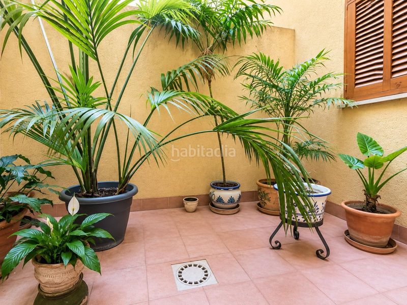 Foto bc10e7b2-62d8-414b-afe6-e701ee1cfc4f. Planta baixa amb calefacció aparcament a Cristo Rey-Parque Europa Inca