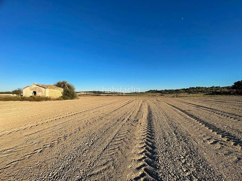 Foto 9a0387b2-9374-40ee-b548-9a9349c5323b. Casale in Can Picafort Santa Margalida