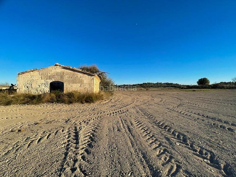 Foto c4a19acd-4b07-4e29-a6a1-23218fbd508d. Casale in Can Picafort Santa Margalida