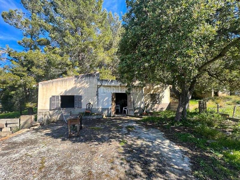 Foto 733071aa-c783-4a85-8860-bd3d6694a1e2. FInca rústica a Zona Periurbana Inca