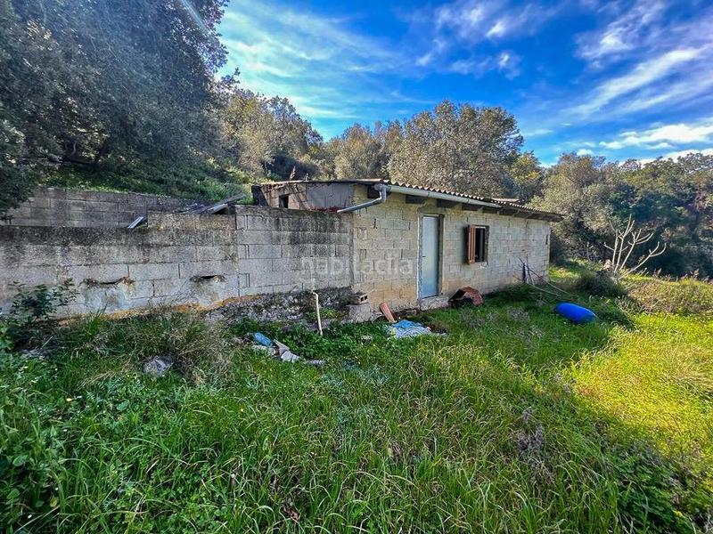 Foto ae631bcf-7df6-47b3-82db-f3edd516552a. FInca rústica a Zona Periurbana Inca