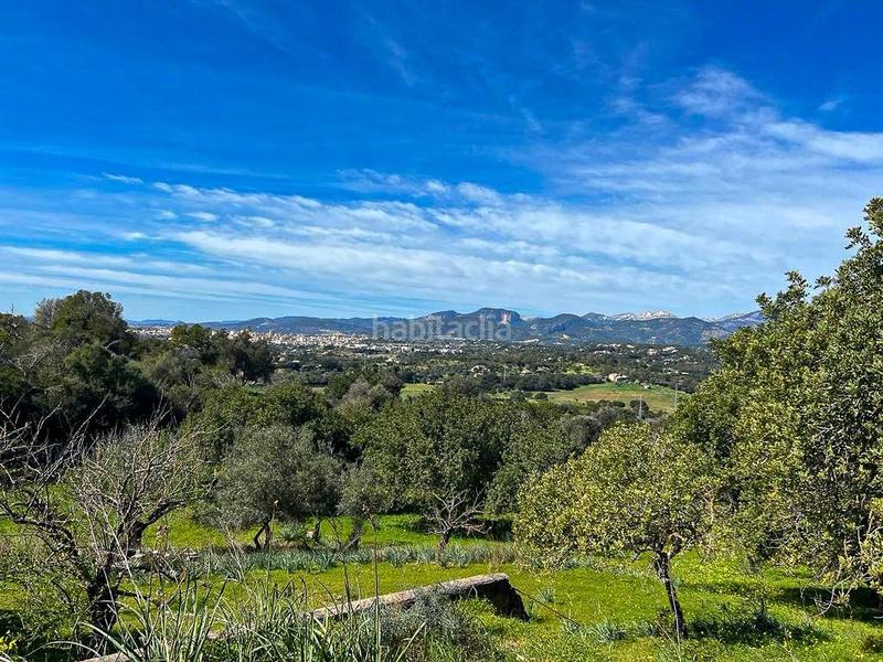 Foto ead216d9-2a8e-4986-b732-b870fe8e9821. FInca rústica a Zona Periurbana Inca