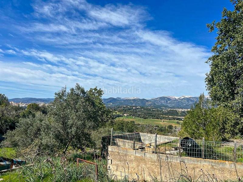 Foto f44292d8-3fbd-4eb5-9f7a-ede5bd56d40c. FInca rústica a Zona Periurbana Inca