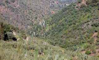 Residential Plot  Paraje romo. Terreno en venta en praje romo, pol 5 parc 37