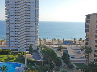 Lloguer Pis a Playa de San Juan. Alquiler de septiembre a junio ambos incluidos!