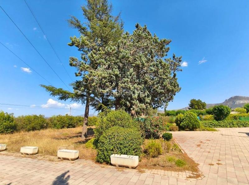 Foto b167e60b-12cc-48b0-b681-9cebb9c531fa. Chalet  con encanto, amplitud y naturaleza en Villena