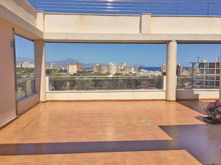 Attique  Calle musico vicente spiteri. Ático en pau v con 3 dormitorios y gran terraza de 85m2!