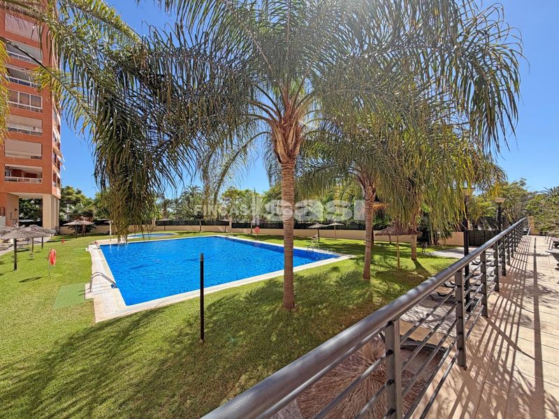 Foto 29b54f5b-d56c-4e31-9fd8-74c1827dee8e. Pis amb piscina a Babel Alicante