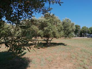 Terreny residencial a El Castell de Cubelles. Espectacular solar en cubelles!