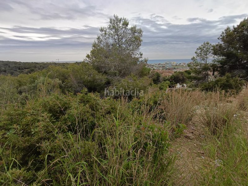 Foto 6549cd8f-2c17-439e-80bc-f0f96f3eccd4. Terreno residencial en carrer de Cunit parc 46 terreno en venta en calle parc 46, residencial, en Cunit