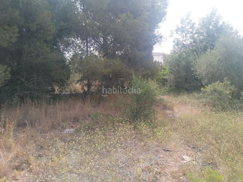 Foto 05f2a08a-6083-415b-8e9c-216e65395a0f. Terreno residenziale in carrer felip pedrell 3 in Vendrell (El)