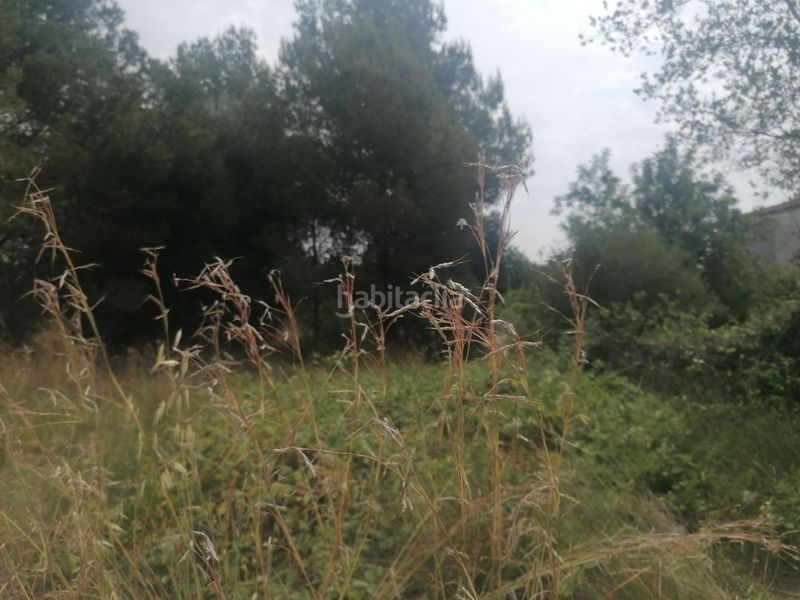 Foto 06be2d09-d761-4597-ab3c-da2d299ce27d. Terreno residenziale in carrer felip pedrell 3 in Vendrell (El)
