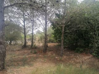 Terreno residencial en Carrer felip pedrell 3. Precioso terreno en venta en urbanización eden park