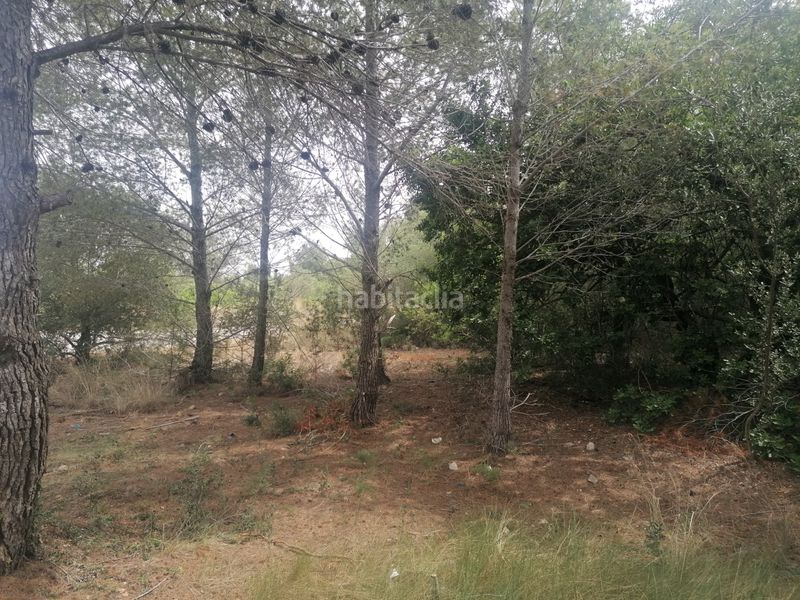 Foto 0ea287b2-7978-4d89-8b2c-c32c1229604b. Terreno residenziale in carrer felip pedrell 3 in Vendrell (El)