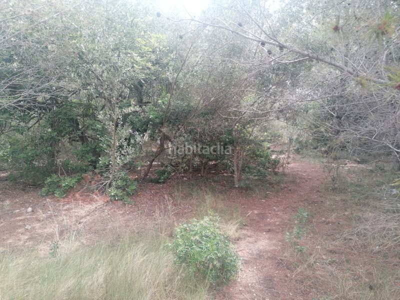 Foto ab5f534e-aa92-42cd-9853-b31c5d28d9be. Terreno residenziale in carrer felip pedrell 3 in Vendrell (El)