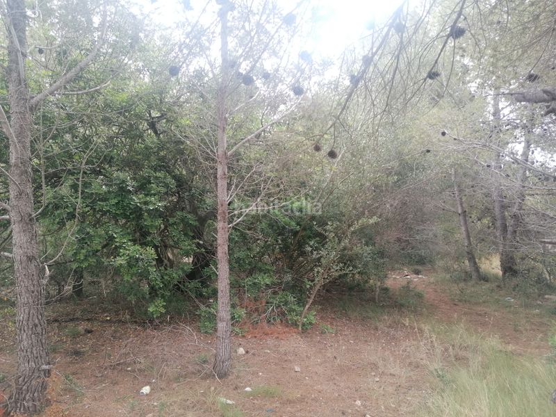 Foto b3ea26f4-a9d3-4ee1-b8cb-583c54388e21. Terreno residenziale in carrer felip pedrell 3 in Vendrell (El)