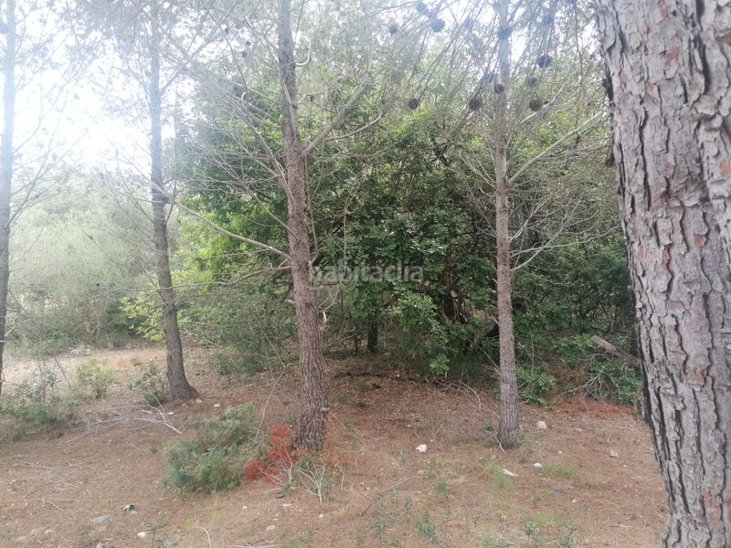 Foto b404f2cb-5b57-4217-a3a0-470cb3ea26ea. Terreno residenziale in carrer felip pedrell 3 in Vendrell (El)