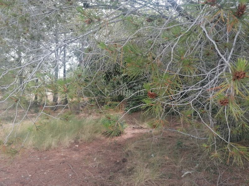 Foto bdbe0033-75a6-4738-8398-989c48810398. Terreno residenziale in carrer felip pedrell 3 in Vendrell (El)