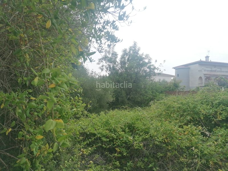 Foto ca84dfb1-1460-48a6-9390-19452ef008c5. Terreno residenziale in carrer felip pedrell 3 in Vendrell (El)