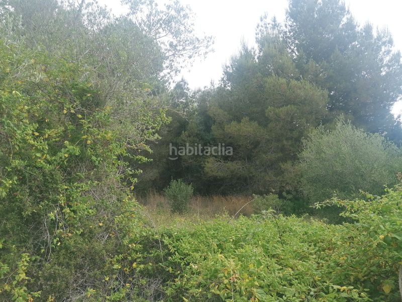 Foto eed5a0fa-8bde-4550-b519-7fcd33c410c5. Terreno residenziale in carrer felip pedrell 3 in Vendrell (El)
