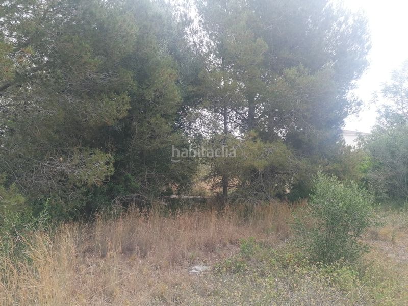 Foto f433fa0e-2c06-4ea6-b70a-c53cf4fd0145. Terreno residenziale in carrer felip pedrell 3 in Vendrell (El)