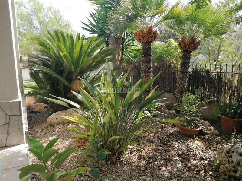 Foto 56c8b269-19ef-4c83-93fc-288ef2f647e4. Casa amb calefacció aparcament piscina a Segur de Calafell nucli urbà Segur de Calafell