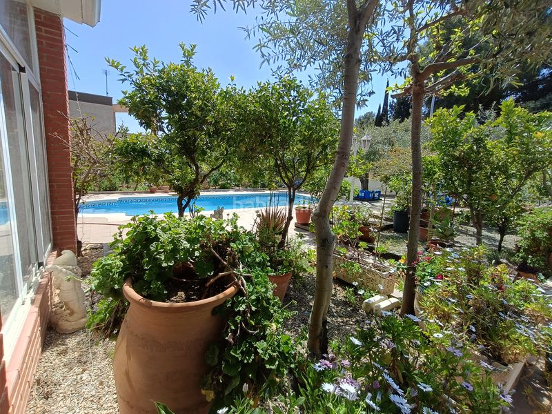 Foto 9c2ce226-f521-4486-8245-db539a19657d. Xalet amb calefacció aparcament piscina a Els Masos - Els Garrofers Coma-ruga