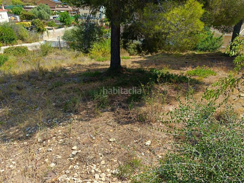 Foto 76ed10eb-f85f-455c-92a1-df9cd6db7071. Terreny residencial a costa Cunit - els jardins - els rosers Cunit