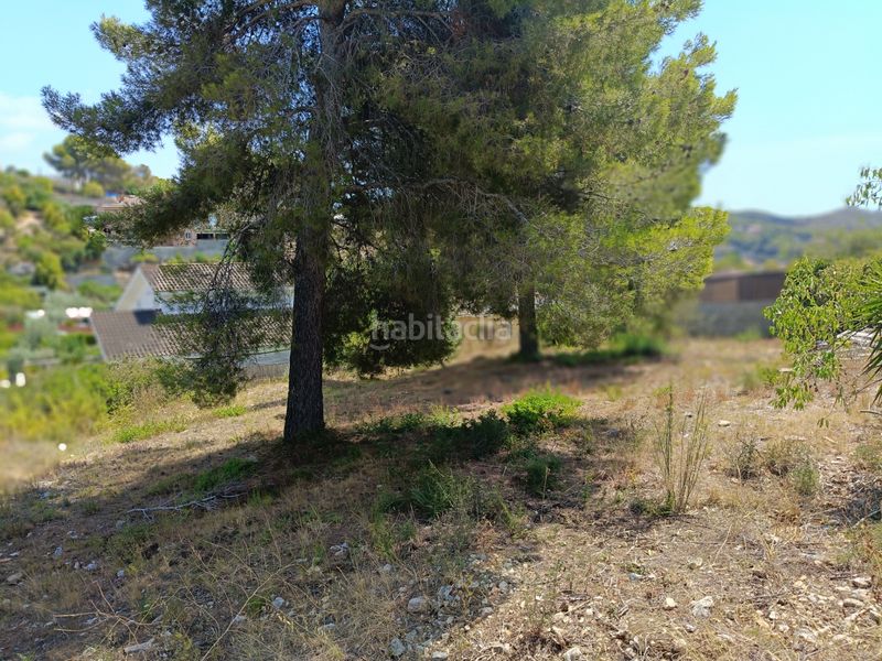 Foto 7bb2a029-8565-4b23-86fb-011f2ea40bae. Terreny residencial a costa Cunit - els jardins - els rosers Cunit