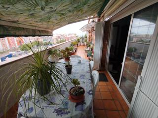 Penthouse  Avinguda de catalunya