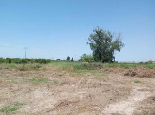 Finca rústica  Diseminado carril giles. Terreno en beniaján - huerto pico-