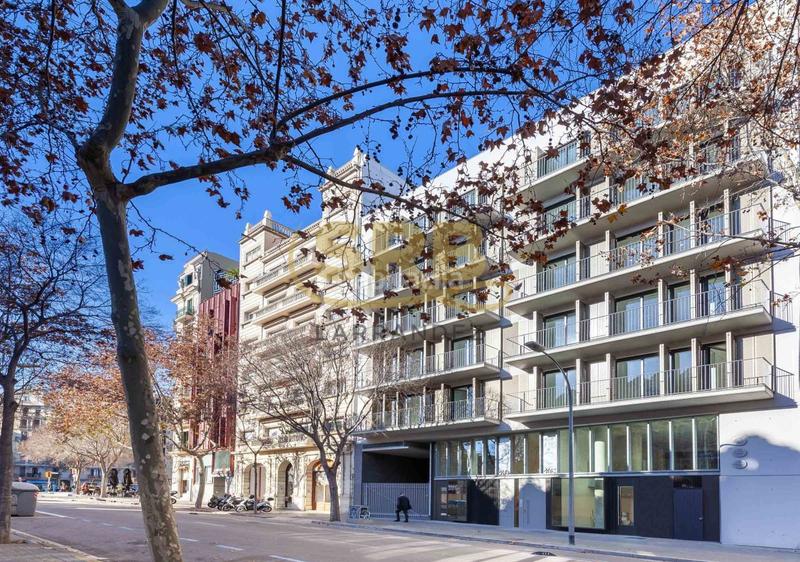 Foto 6dda34dd-2828-4df4-8170-5d209c591c69. Location local commercial dans Fort Pienc Barcelona