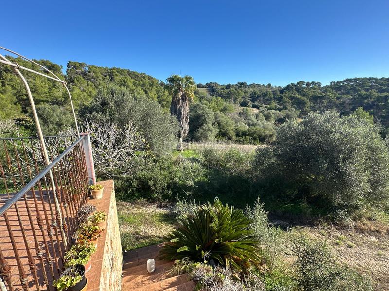 Foto 785c643a-1344-442d-a743-548b67f15d9b. Casa in Manacor centre Manacor