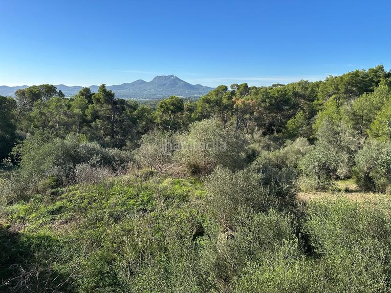 Foto 93ef77e5-410e-478c-81f2-963a75a81f73. Casa in Manacor centre Manacor