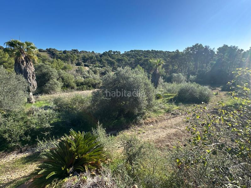 Foto 9b7184cf-e6b7-47c6-9cb1-00e376803c1b. Casa in Manacor centre Manacor