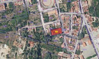 Terreno residencial en Muro. Solar urbano en muro