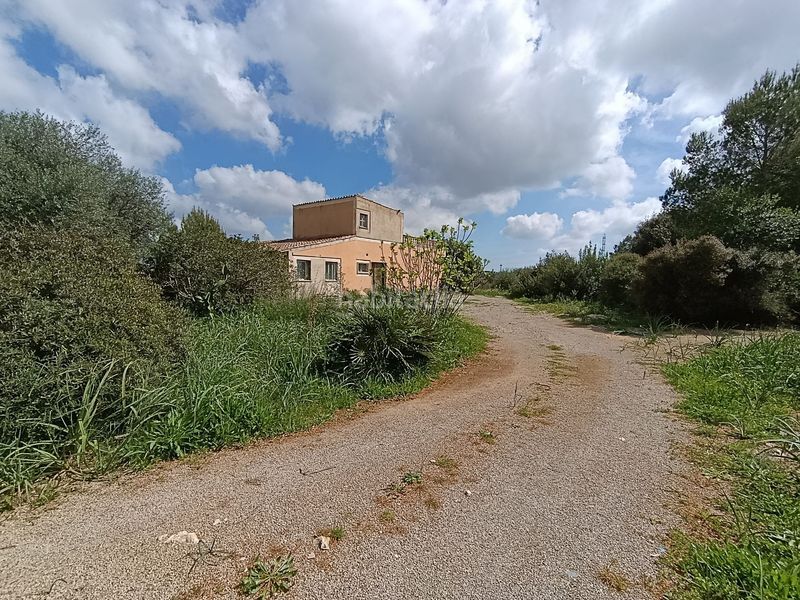 Foto b8a64e76-2e76-46a8-91c8-8f849de77d91. Casa amb piscina a Artà poble Artà