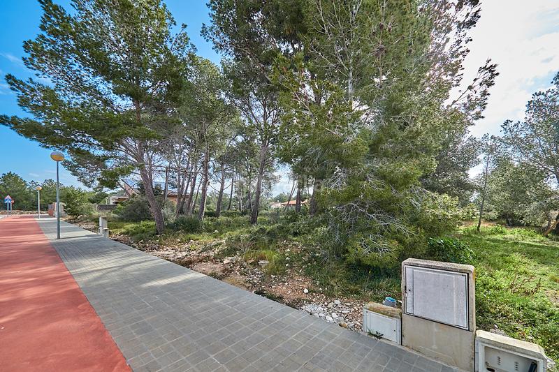 Foto 086e96cd-262b-43f0-b384-1a39db2bacc2. Chalet in Pla de Santa Maria (El)