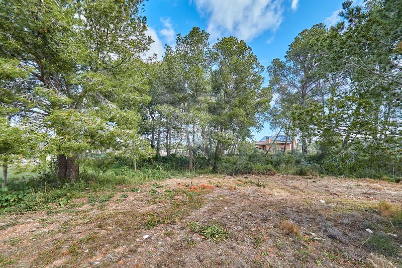 Foto 49f3165f-c128-479f-8c79-bdffd40af06e. Chalet in Pla de Santa Maria (El)